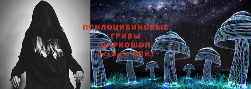 Псилоцибиновые грибы Psilocybine cubensis  магазин    Кувандык 